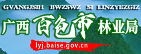友情连接4