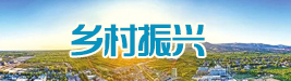 专题六