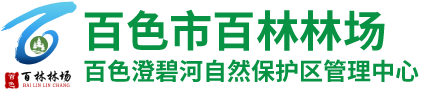 百林林场