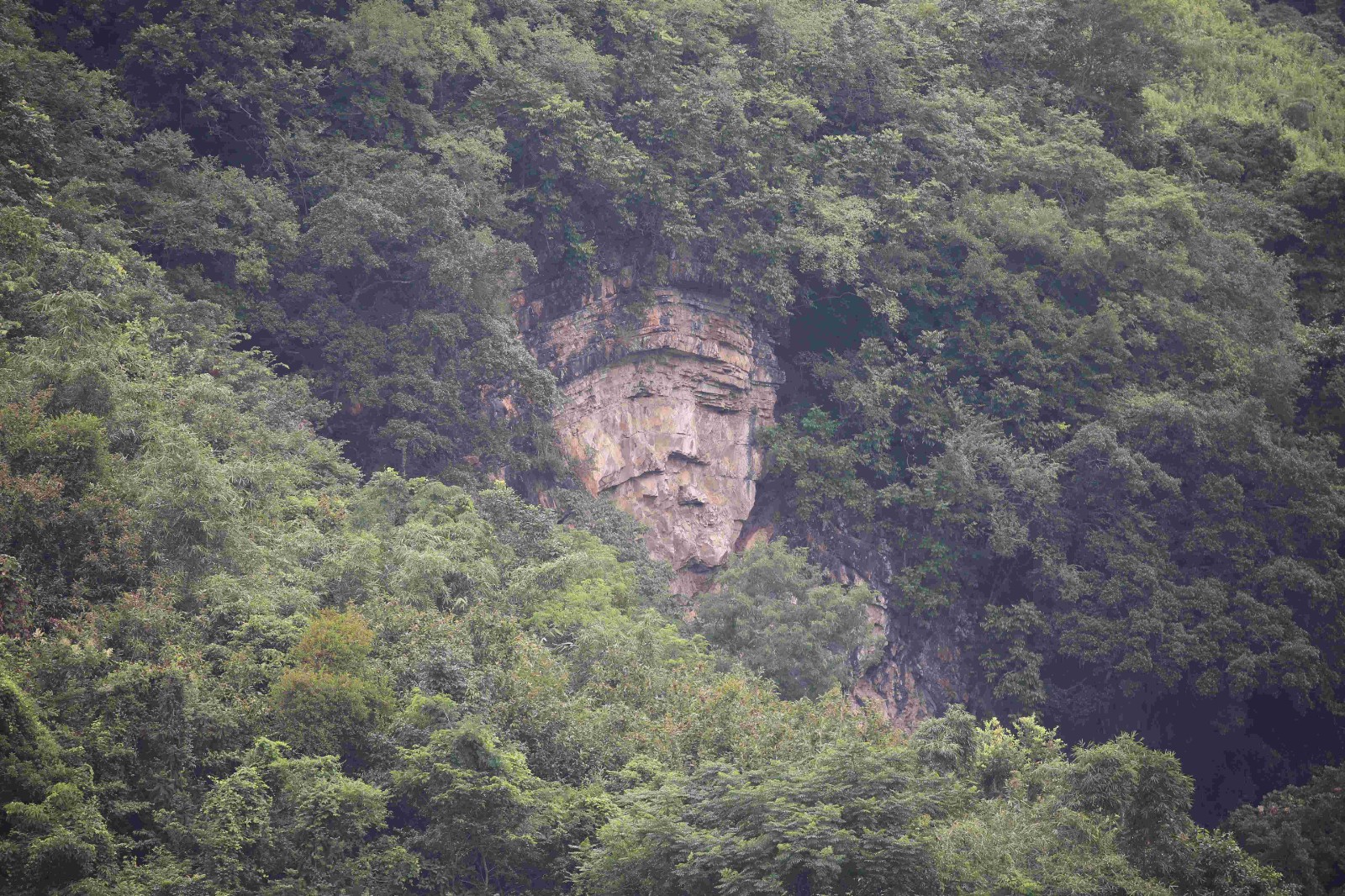 澄碧河保护区——雅芒像