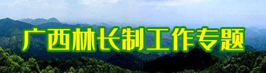 专题四