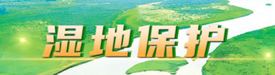 专题三